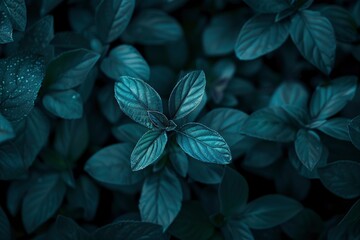 Nature of dark green leaf in garden. Natural green leaves plants using background cover page environment ecology or greenery wallpaper - generative ai