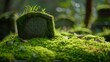 A serene stone overgrown with vibrant green moss, basking in dappled forest sunlight.