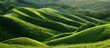 Nature landscape background. Aerial photography of landscape of rice terraces.