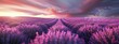 Behold a tranquil 3D lavender vista under twilight skies, showcasing minimalist elegance and a serene depth of field.