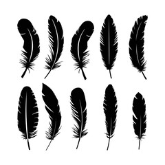 Wall Mural - Feather silhouette. Hand drawing sketch of feather icons and vector illustration