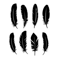 Wall Mural - Feather silhouette. Hand drawing sketch of feather icons and vector illustration