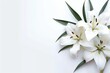 A dense cluster of white flowers rests on a white background, creating a serene and elegant aesthetic, perfect for memorial or remembrance designs