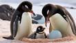 A penguin family is shown in the photo. There are two adult penguins and one baby penguin. The adult penguins are standing on either side of the baby penguin, and the baby penguin is standing in front