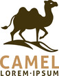 A camel animal design illustration mascot icon concept