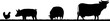 A farm animals scene with silhouettes of cows chicken, sheep and pig in a grass field scene landscape