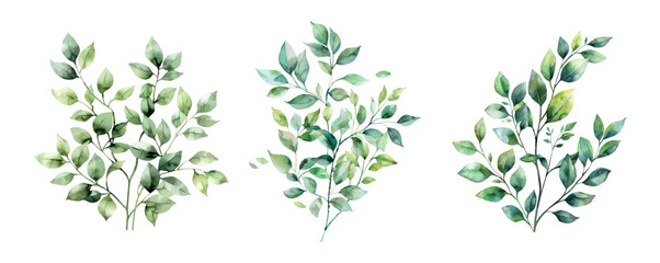 Watercolor set of green branches with leaves png. Elements of green branches for designs, invitations, wedding layouts, etc. Watercolor green botany. Vector illustration