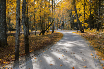 Canvas Print - Fall in the Kemeri park, Latvia