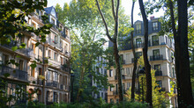 Buildings And Trees Of Issy Coeur De Ville Eco-neighbor