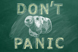 Fototapeta  - Closeup of a human hand pointing at you with lettering DONT PANIC. Illustration drawn in chalk on a greenboard.