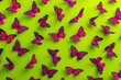 Beautiful Pink and Black Butterflies on Vibrant Green Background with Copy Space for Text