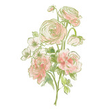 Fototapeta  - Oil painting abstract bouquet of ranunculus, rose, peony and jasmine. Hand painted floral composition isolated on white background. Holiday Illustration for design, print, fabric or background.