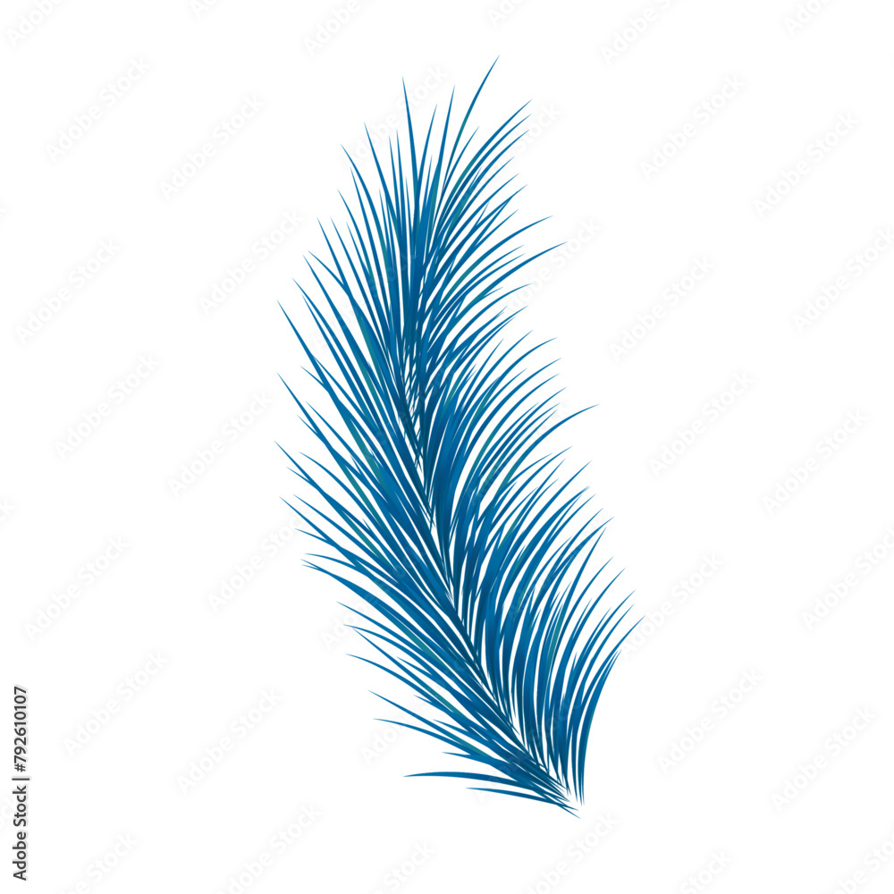 Christmas fir branch isolated design element on white background Stock ...