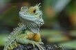 Australian Water Dragon: Perched on a branch overlooking water, capturing its arboreal lifestyle.