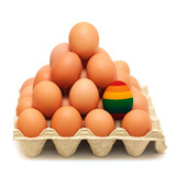 Fototapeta  - Egg with rainbow colors of the LGBTQ+ flag with other many eggs in cardboard  box on white background