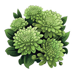 Green dahlia flowers isolated on white background. Vector illustration.