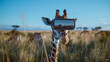 A giraffe standing in a field of tall grass. Copy space.