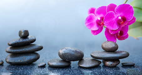 Wall Mural - Pink orchid flowers and black spa stones on the gray table background.