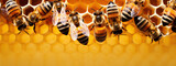 Fototapeta  - honey bees on honeycomb banner