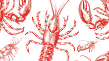 Hand Drawn Red Lobster. Seafood Shop Restaurant Menu