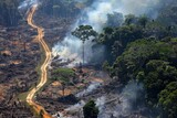 Fototapeta  - Global Boiling Rainforest Deforestation: Aerial Perspective,Carbon Footprint: Aerial Perspective 