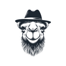 The Camel Wearing A Hat. Black White Vector Illustration.