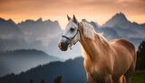 Fototapeta  - Arabian Elegance: Stunning 8K Image of a Horse in Bavaria, Germany
