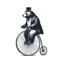 The Bear Ride Penny Farthing Bike. Black White Vector Illustration.