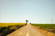 Dirt road next to a beautiful yellow field and a green field