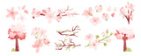 Fototapeta Desenie - Sakura blossom elements in flat design
