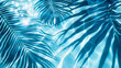 A blue palm leaves reflected in the water. Tropical leaf shadow on water surface. Shadow of palm on blue water. Beautiful abstract background