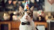A cat dressed up for a party, wearing a colorful party hat and a dapper bow tie