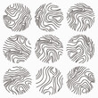 Topographic Line Map Vector Collection
