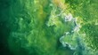 A microscopic view of a lake with an algal bloom suffocating its shorelines showing the buildup of dissolved nutrients that fed the
