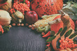 Autumn agricultural still life with fruits and vegetables. Harvest festival holiday concept with copy space for text
