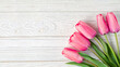 Spring time concept. Top photo of fresh pink tulip flowers on white wooden background with copy space
