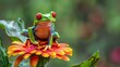 Generate an image of a red-eyed tree frog perched gracefully on a flower