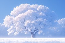 Photo Of A Tree Covered In Frost On The Edge Of An Open Field, With Mist Rising From Its Branches Against A Clear Blue Sky.