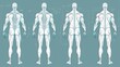 © Антон Сальников - An outline boy for fashion sketching and illustration. 9 male head size for technical drawings. Male figure front, side, 3-4, and back views.