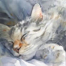 A Watercolor Of A Sleeping Cat, Curled Up In A Sunny Spot, Its Fur A Soft Blend Of Grays And Whites, Radiating Tranquility And Warmth