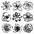 Handmade Ink Brush Flowers Vector Collection