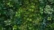 © yusufadi - Top view green moss forest nature texture background. AI generated image