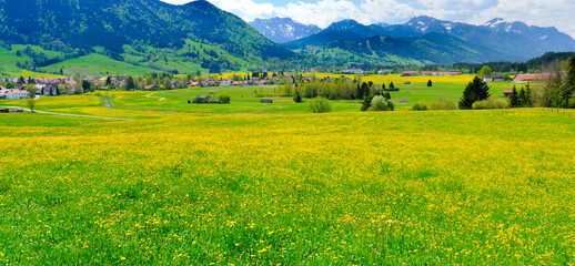 Wall Mural -   panorama view to landscape in region Allgau in Bavaria