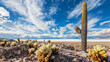 Big cactus on Incahuasi island salt flat 