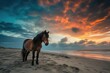 Shoreline Sentinel: Brown Horse at Sunset