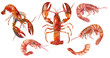Hand-painted digital watercolor crustaceans. Food illustration.