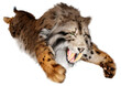 3D Rendering Saber Toothed Tiger on White