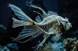 the aquatic elegance of a fish's skeletal structure, showcasing the streamlined design for efficient swimming.
