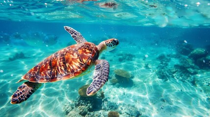 Poster - A majestic sea turtle gracefully swimming through crystal-clear ocean waters