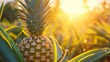 Growing pineapple harvest and producing vegetables cultivation. Concept of small eco green business organic farming gardening and healthy food	
